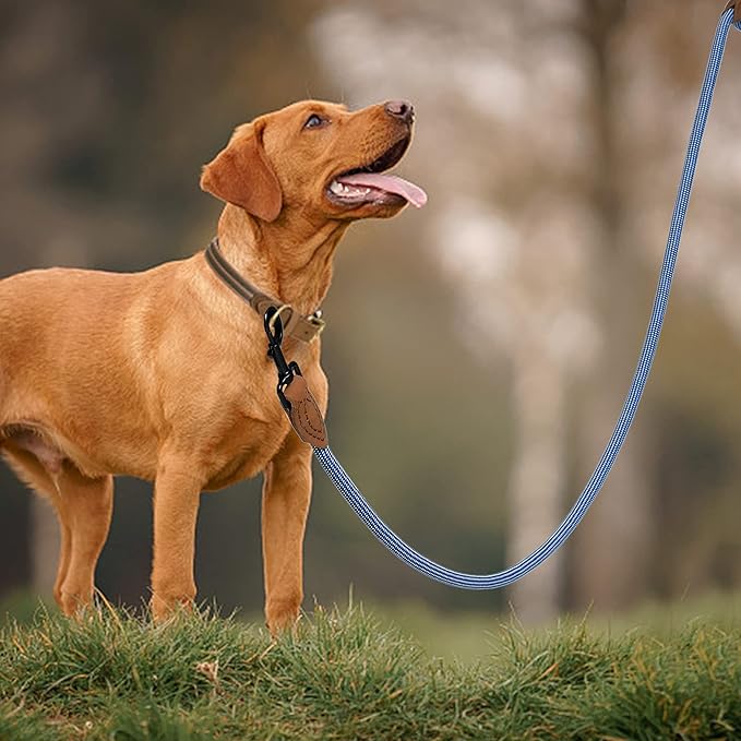 Mile High Life Rope Leash with Genuine Leather Connection, 6 FT/5 FT/4 FT, Heavy Duty Leash for Medium & Large Dogs (Blue White, 60 Inch)