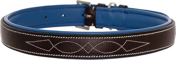 Exion Geniun Leather Dog Collar Designer Stitched Soft Leather Padded- Suitable for Small Medium Large X-Large Dogs for Walking Running- Havana with Blue Padding