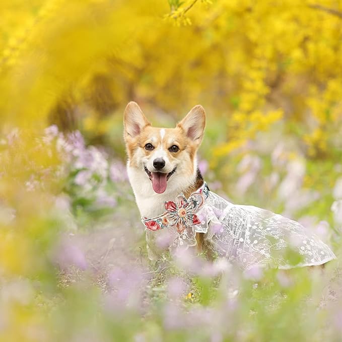 Elegant Little Tail Vintage Floral Dog Collar with Flower, Comfortable Adjustable Dog Collars for Small to Large Dogs