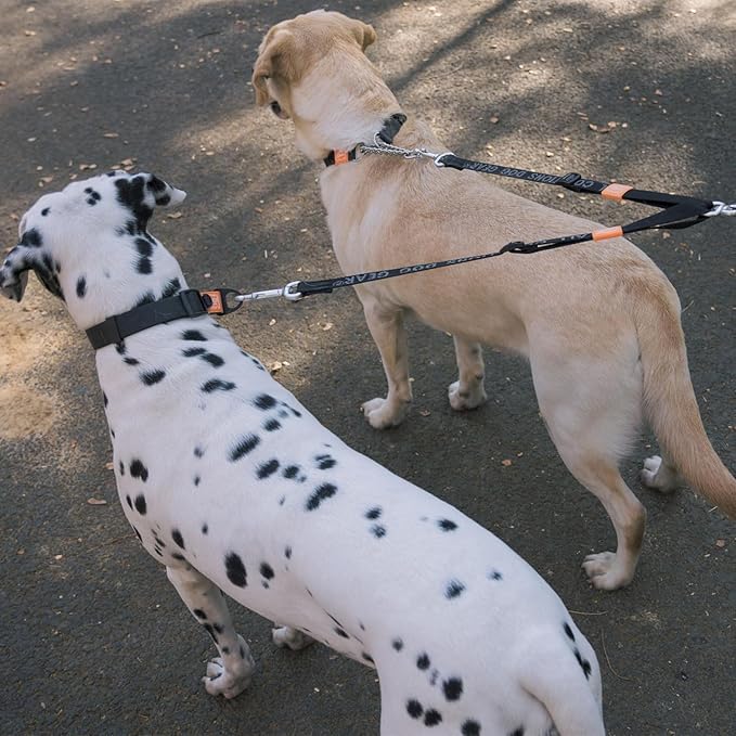 HOWGO Double Dog Leash, No Tangle 360° Swivel, Adjustable Two Padded Handles, Double Clip Dog Leash Coupler Splitter for 30~150 lbs Large and Medium Breeds (Green, 4/5'' x 0.9 FT, Ultralight)