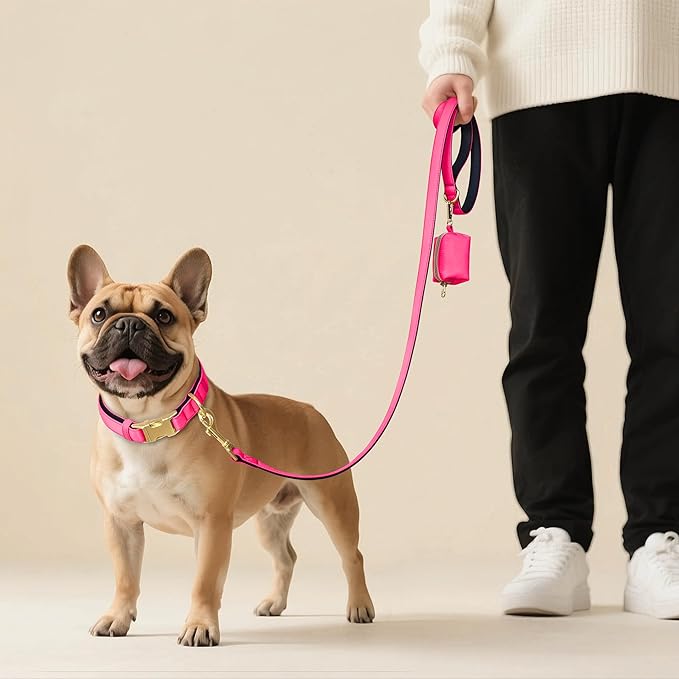 Didog Soft Padded Dog Collar for Large Dogs, Colorful and Durable Pet Collar with Quick Release Buckle, Light and Breathable for Daily Walking, Pink, L