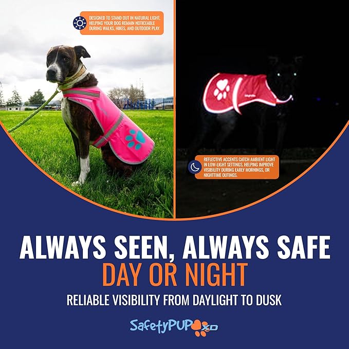 SafetyPUP XD Dog Reflective Vest – Hi-Vis Fluorescent Visibility That Helps to Safeguard Your Pet On/Off Leash in Urban & Rural Areas (Pink, Large)