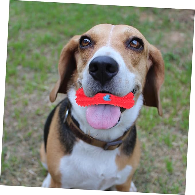 NOLITOY 2pcs Creative Dog Chew Toy Squeaky Interactive Toy for Teeth Cleaning Funny Sound Adorable Design for Pet Playtime No Rope Included for Chewers