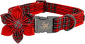 Elegant Little Tail Dog Collar with Flower & Plaid Pattern - Adjustable for Medium Dogs