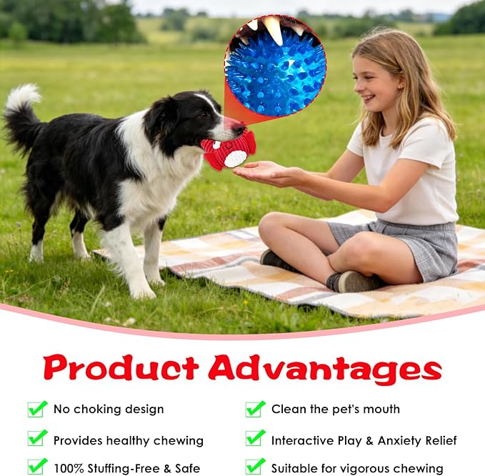 Squeak Dog Toys for Aggressive Chewers, No Stuffing Squeak Dog Chew Toys for Aggressive Chewers, Interactive Dog Toy Ball with Crinkle Paper for Medium Dogs, Large & Small Breeds (F-Whale+Fish)