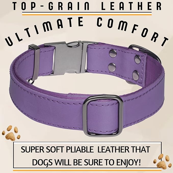 ADITYNA Leather Dog Collar with Metal Buckle - Heavy-Duty, Adjustable for Large & Extra Large Dogs - Walking & Training (Purple, Fits 19-30" Necks)
