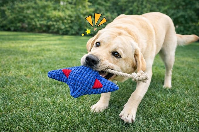 Durable Blue Fish Plush Dog Chew Toys with Squeaker – Tough Stuffed Ocean Animal with Natural and Safe Cotton Fill for Teething Puppies, Small, and Medium Breeds