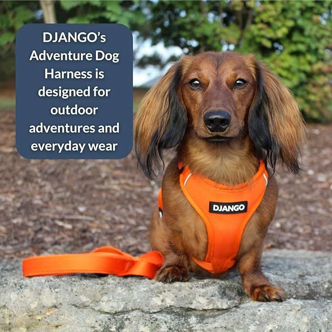 DJANGO Adventure Dog Harness - Stylish, & Durable Medium Dog Harness for Outdoor Adventures and Everyday Wear - Sunset Orange Neoprene Adjustable Harness for Dogs with Reflective Piping & Brass D-ring