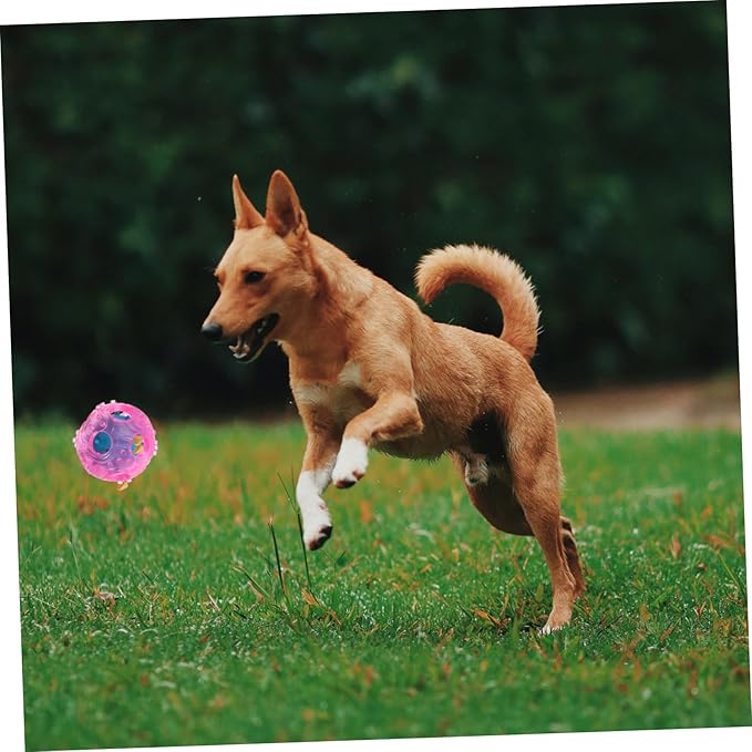 TOYANDONA Interactive Dog Treat Toy Rubber Food Dispenser for Dogs Engaging Activity for Training and Healthy Feeding Random Material