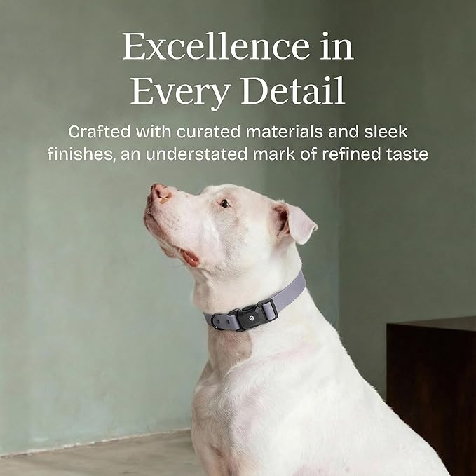 2026 New Edition, Fei & Eve PVC MagEase Dog Collar - Patented Magnetic Buckles | Fur-Safe | 450LB Escape-Proof | Adjustable Fit | Medium (Twilight Gray)