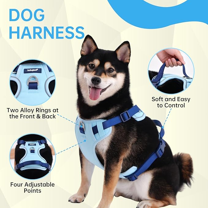 No Pull Dog Harness Leash and Collar Set, Soft Adjustable Dogs Vest Reflective and Comfortable Handle Blue Large