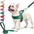 BEAUTYZOO No Pull Dog Harness Medium Sized Dog, Breathable Mesh Padded Dog Harness and Leash Set, Adjustable Reflective Escape Proof Dog Vest Harnessss Quick Fit for Training Walking, Green M