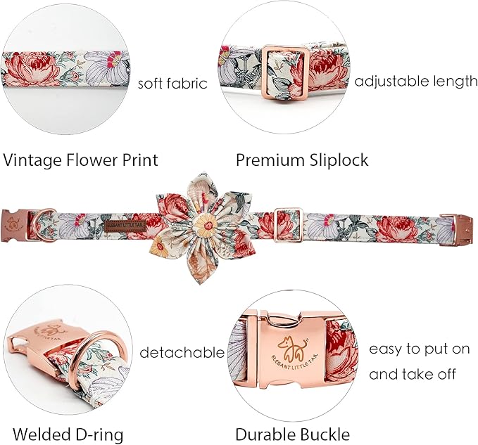 Elegant Little Tail Vintage Floral Dog Collar with Comfortable Adjustable Sizes for Small to Large Dogs