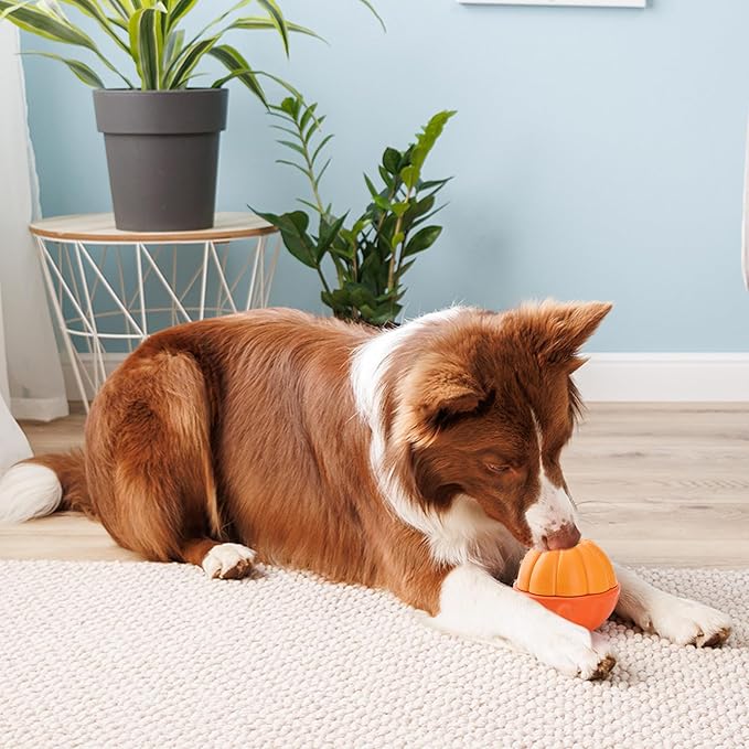 3 in 1 Treat Dispensing Dog Toys, Frozen Treat Ball, Durable Nylon Chew Toys for Small Medium Large Dogs, Enrichment Dog Toys to Keep Them Busy