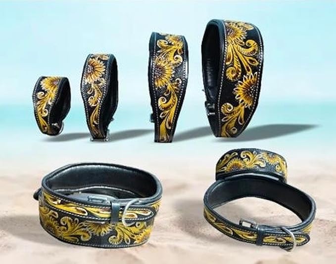 Majestic Ally Genine Leather Dog Collar with Adjustable, Padded Fit for Walking, Hiking, and Running, Designer Western Wear for Puppies, Fancy Customized Colors (Black - Yellow, Medium)