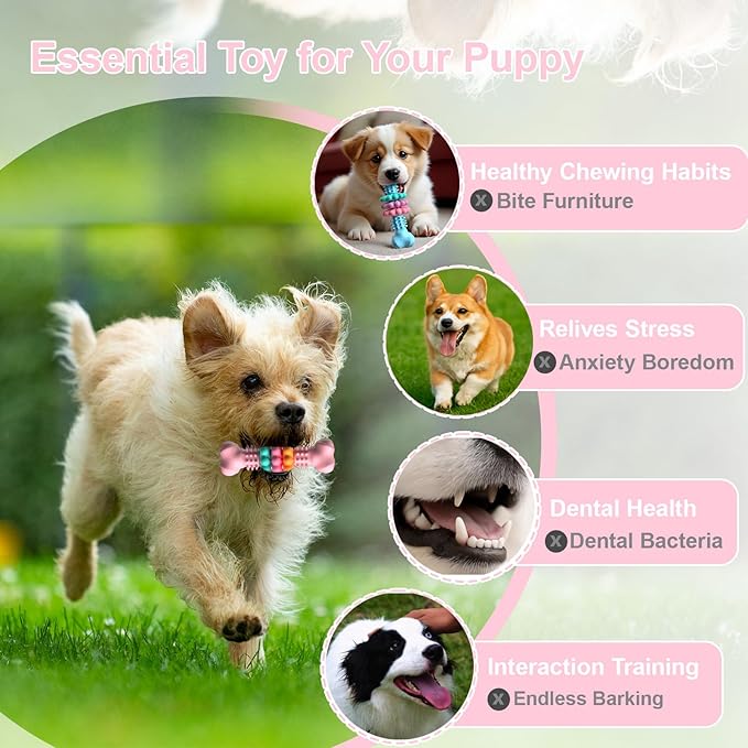 Puppy Chew Toys, Indestructible Dog Toys for Aggressive Chewers - Small & Medium Breed, Durable Rubber Chew Bone Toy for Small Dogs, Puppy Toys for Teething, Anxiety & to Keep Busy