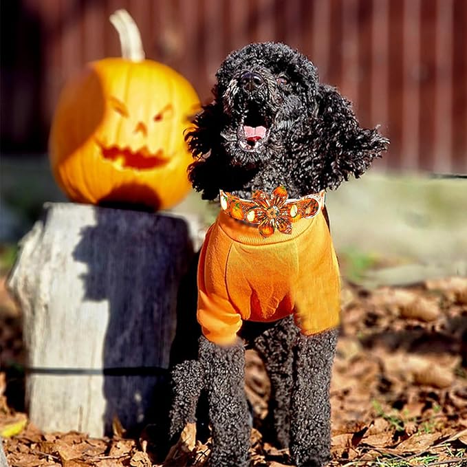 Elegant little tail Fall Dog Collar, Halloween Pet Collars with Flower Cute Pumpkin Print Puppy Collar Female or Male Cotton Adjustable Collars for Small Medium Large Dogs