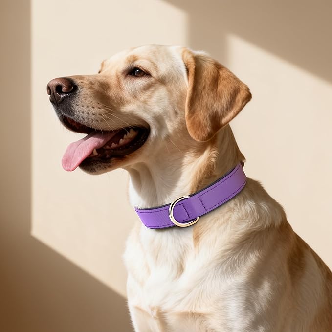 Didog Soft Padded Dog Collar for Large Dogs, Lightweight and Breathable Dog Collar with Metal Buckle, Purple, XL