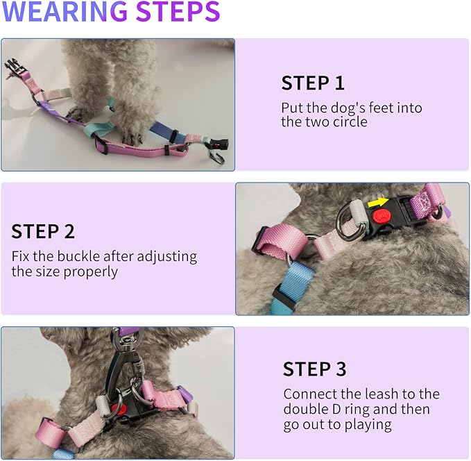 AIITLE No Pull Dog Harness & Leash & Collar - Adjustable Basic Collar with A Heavy Duty Leash - Super Sturdy Buckle and D Ring - Training Running for Large Dogs, Pink Gradient L