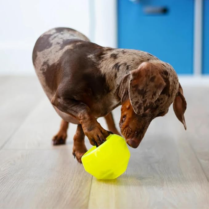 Messy Mutts Stuff’n Wobble Ball | 3.9” Green Fillable Dog Toy | Interactive Puzzle Ball for Dogs | Engaging Treat Dispensing Toy for Dogs