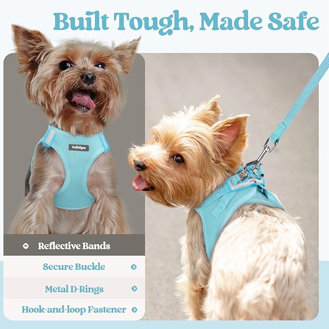 rabbitgoo Dog Harness Small Sized and Leash Set, Step in Soft Light Puppy Vest, Breathable Mesh Pet Harness, Reflective for Safe Easy Walking, Mint Blue XXXS