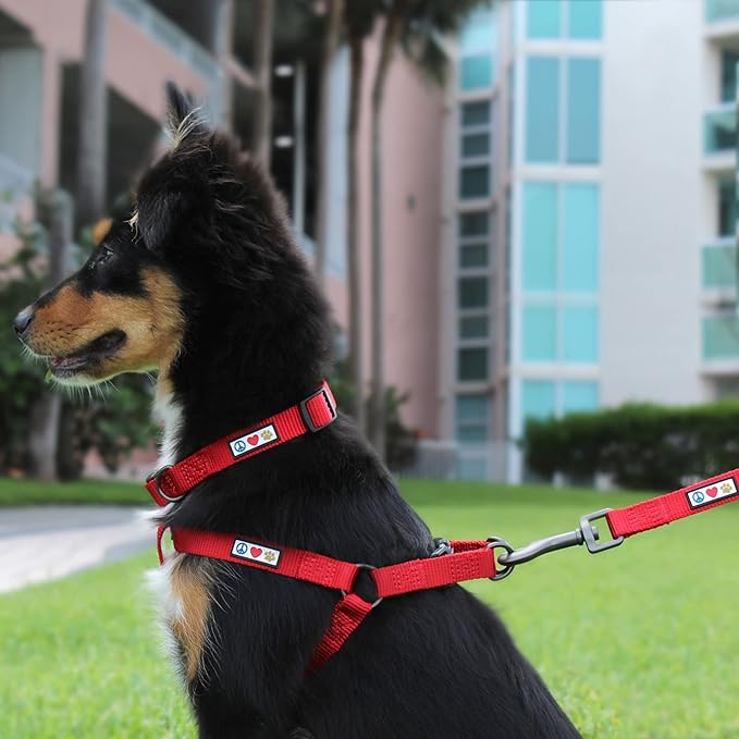 Pawtitas Solid Step-in Dog Harness – Adjustable No-Pull Vest for Puppies to Seniors, Safe & Comfortable M Millennial Pink