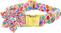 Elegant little tail Easter Dog Collar, Colorful Candy Print Dog Collar with Flower Blue Boy Girl Pet Gift Puppy Flowers Adjustable Pet Collars for X-Large Dogs