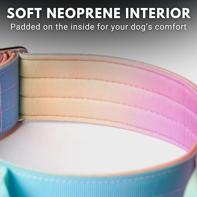 Spark Paws Tactical Dog Collar with Handle - Premium Quality Collar, Robust and Durable Design for Large, Strong Breeds - Pitbulls, Labradors, GSD - Pastel Icing - M