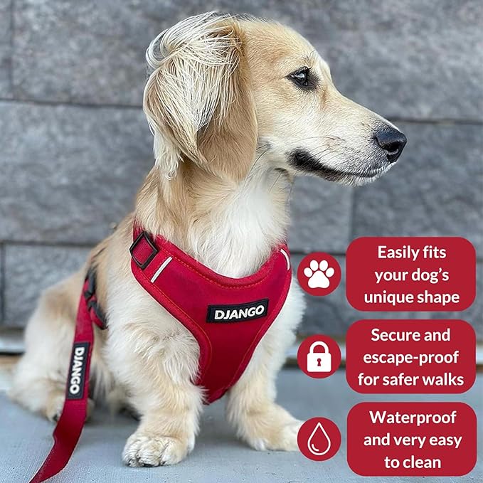 DJANGO Adventure Dog Harness - Stylish and Durable Small Dog Harness for Outdoor Adventures and Everyday Wear - Red Neoprene Adjustable Harness for Dogs with Reflective Piping, Solid Brass D-Ring
