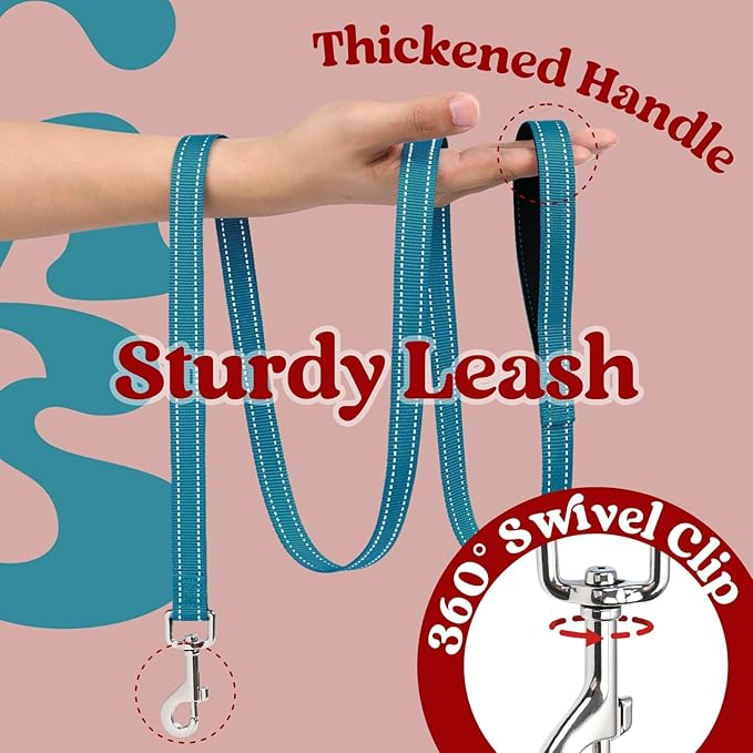 rabbitgoo Dog Harness Small Sized and Leash Set, Step-in Breathable Pet Harness, Soft Walking Reflective Puppy Vest for Small Dogs, Red & Teal, M
