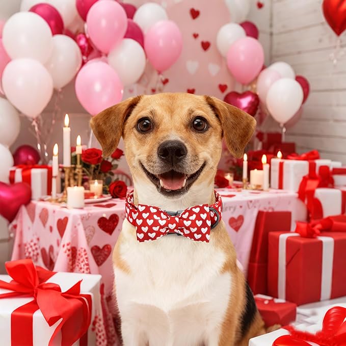 Lionheart glory Dog Bow Collar - Valentine's Day Dog Collar with Bowtie Red Heart Collars Soft Adjustable for Largr Dogs Puppy Spring Party Collars