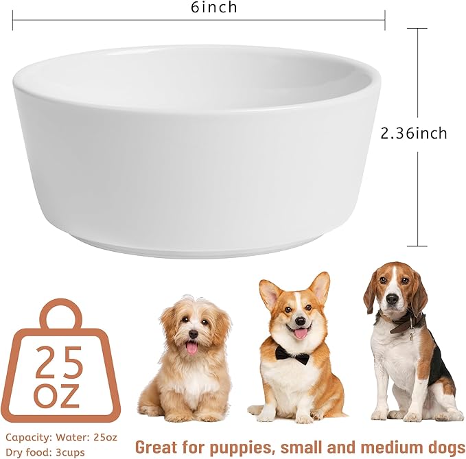 Small Dog Bowls, Non Slip Ceramic Dog Food and Water Bowsl with Silicone Base, Heavy Pet Feeding Bowl for Cats, Puppies and Small-Sized Dogs (White-2 Pack, 6 Inches)