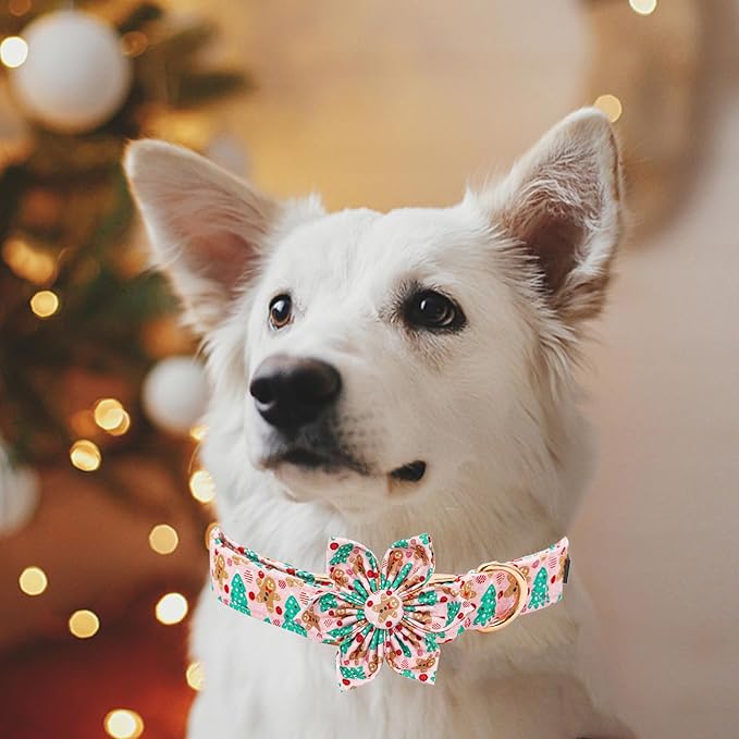 Elegant Little Tail Dog Collar with Flower, Christmas Dog Collar for Medium Dogs