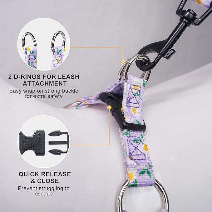 BEAUTYZOO No Pull Dog Harness and Leash Set - Adjustable Step-in Puppy Harness for Medium Large Dogs, Escape Proof Soft Nylon Vest with Double D Ring for Walking Running Training, Purple L