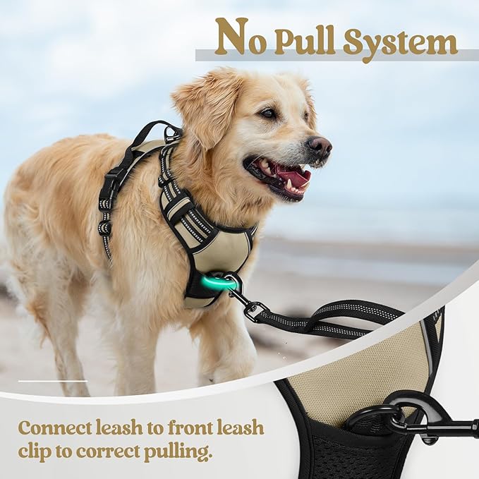 rabbitgoo Dog Harness No Pull with 2 Leash Clips, Adjustable Soft Padded, Reflective Oxford No Choke Pet Vest with Easy Control Handle for Medium Sized Dogs, Beige, M