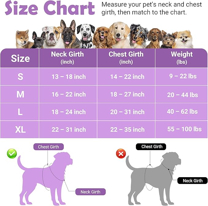 Funfox Dog Harness No Pull, Adjustable Pet Vest Harness, Super Soft Material with Vertical Handle Easy Control, Reflective Night Walking, 2 Leash Clips for Large Dogs, Purple, L
