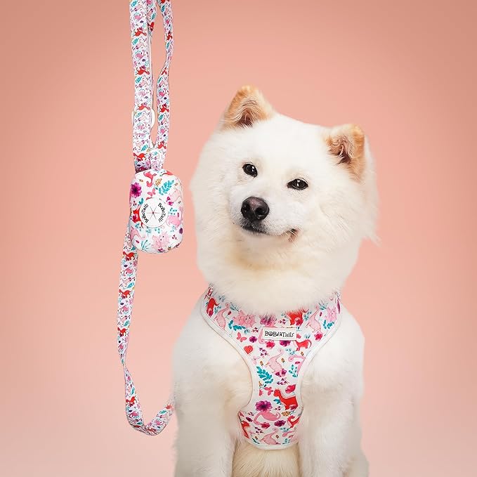 5 FT Stylish Dog Leash, Soft Dog Leashes with Comfortable Padded Handle, Metal Carabiner Clip, Strong No Pull Pet Leash for Small Medium Dogs for Walking, Shopping and Running