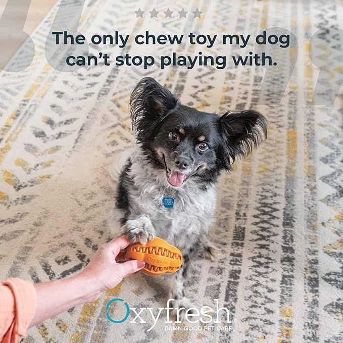 Oxyfresh Dog Dental Chew Toy - Best Dog Teeth Cleaning Toy – A Simple Bite and Brush Toy That Helps Remove Plaque, Cleans Teeth & Freshens Breath Without Brushing - Large