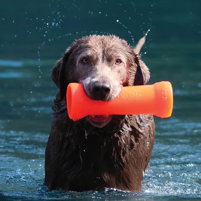 Ruff Dawg Crinkit XL – Noise-Making Dog Toy – Crinkly, Crunchy Water Bottle Toy for Aggressive Chewers – Fun & Safe Play for Dogs – High-Visibility Neon Colors