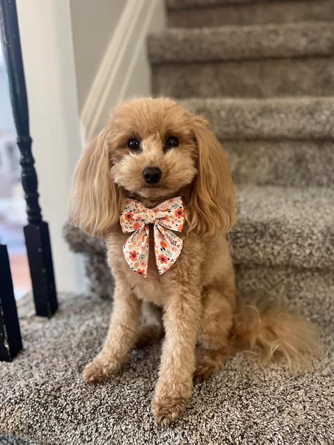 Lionet Paws Design Dogs Collar Cute Flower Sailor Bow Dog Collars for Girl Female Medium Large Dogs with Summer Floral XL