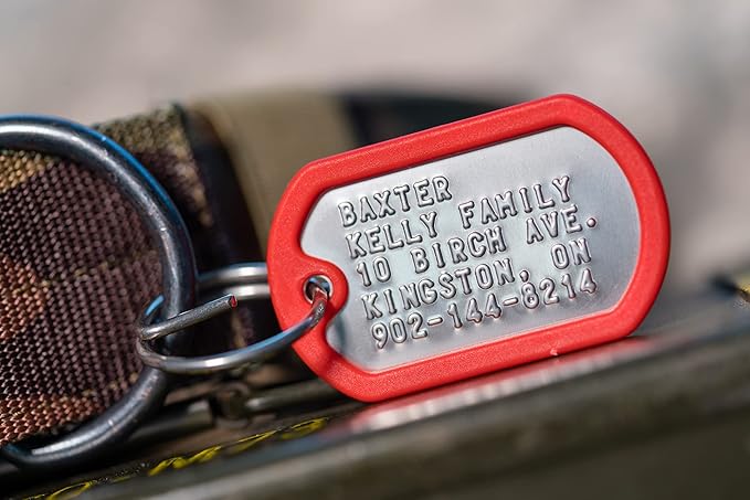 Dog Tags for Dogs, Custom Dog Collar ID Tag Personalized for Pets - Super Tough, Quiet Embossed Military Style Stainless Steel Dog Name tag (Red)