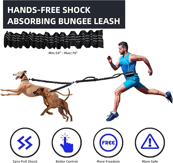 Hands Free Double Dog Leash with Pouch, Dual Leash for 2 Dogs with Reflective Padded Handles, Durable Bungee and Lumbar Waist Belt for Walking, Jogging and Running (Medium/Large, 25-120 lbs)
