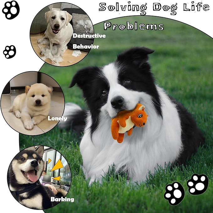 Squirrel Plush Dog Toy Squeaky Toy, Interactive Hide and Seek Replacement Dog Toys for Small & Medium Dogs (3Pcs Squeaky Squirrel A)