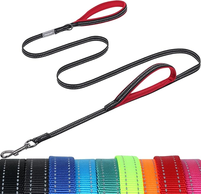 VIVAGLORY Twingrip Dog Leash, Double Handle Dog Leash for Training & Walking with Traffic Handle & 2 Loop, Traffic Control Reflective Heavy Duty for Puppy Pet, 5ft x 1/2in, Black
