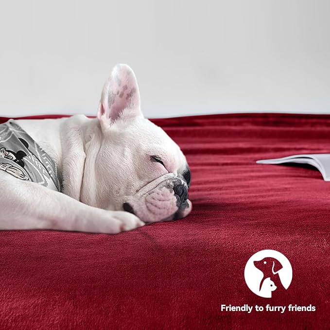 Waterproof Blanket - Travel Blankets Stain Proof, Absorbent, Leakproof, Reversible, Plush Cozy & Washable - Waterproof Couch Cover Ideal for Bed/Couch, Dogs/Cats (40"x60", Wine red/Black)