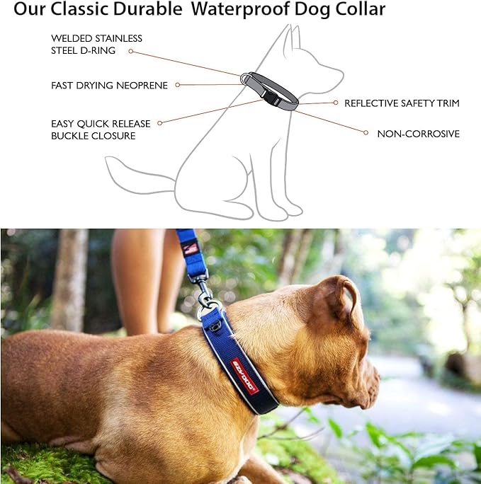 EzyDog Neo Dog Collar - Waterproof & Reflective Dog Collar with Soft Padded Neoprene for Comfort & Durable Nylon – Features Quick Release Buckle and Built-in ID Clip (Large, Blue)