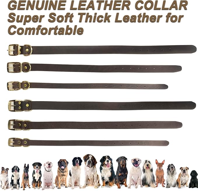 Leather Dog Collar Heavy Duty Hardware Dog Collars Full Grain Ultra Soft and Comfort Genuine Cowhide Metal Buckle Thick Belt Collar for Small Medium Large Pets (Large (16-22" Neck))