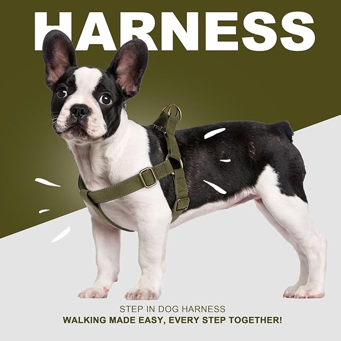 Didog Step in Dog Harness - PU Leather Dog Harness with Antique Bronze Metal Buckle, Easy Walk Dog Halter Harness for Medium Large Dogs Walking Training (Dark Green, M: Chest 20-29")
