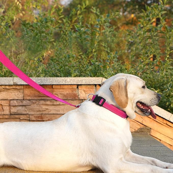 Dog Leash 6 FT Padded Handle Nylon Reflective Dogs Leashes for Large Dogs Hot Pink