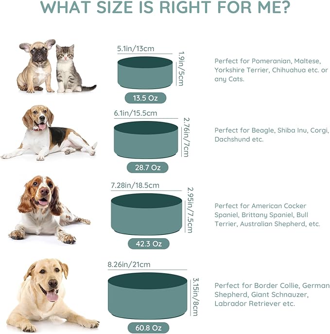 SPUNKYJUNKY 42OZ Ceramic Dog and Cat Bowl, Modern Cute Weighted Food Water Bowl for Replacement Light Green (2 Pack)